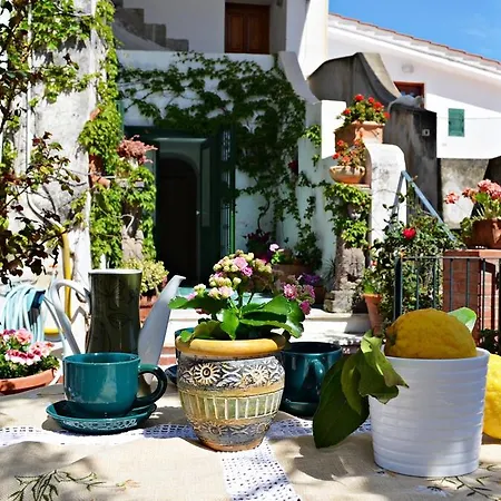 Lejlighed Casa Cecilia *